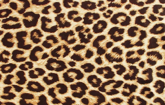 cheetah print design card