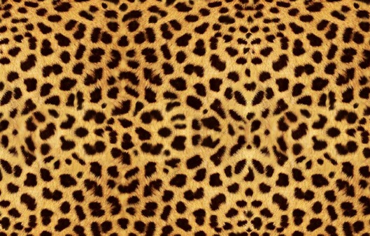 cheetah print design card