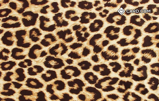 leopard print design card